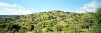Eastern Sierra Foothills and Hawk